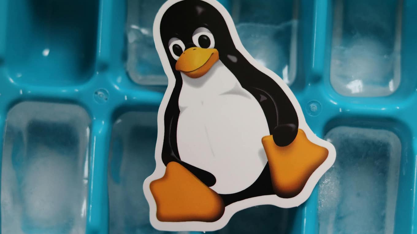 linux tux penguin mascot cutout lying on a tray with ice cubes